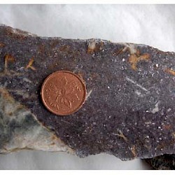 Figure 1 Sample of Sleeping Giant pegmatite showing purple lithian muscovite with white cleavelandite laths (from Breaks, 2008, OFR 6224).