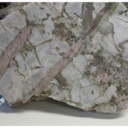 Figure 2 Sample of Tot Lake pegmatite Pollucite zone showing abundant white pollucite, pink spodumene and local green muscovite (from Breaks, 2008, OFR 6224).